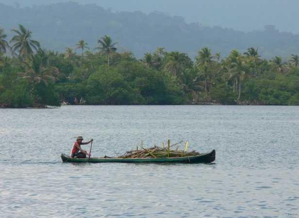 51- Kuna de retour de ses plantations sur le continent 